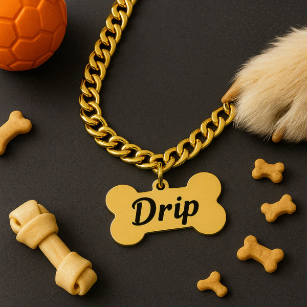 Name Tag with Chain for Dogs - Image 3